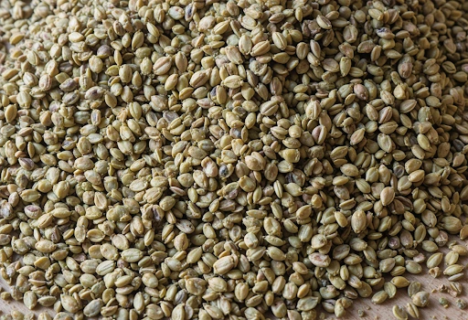 Health Benefits of Coriander Seeds